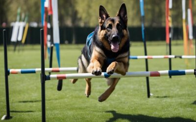 Canine Body Conditioning: Exercises for a Fit and Healthy Dog